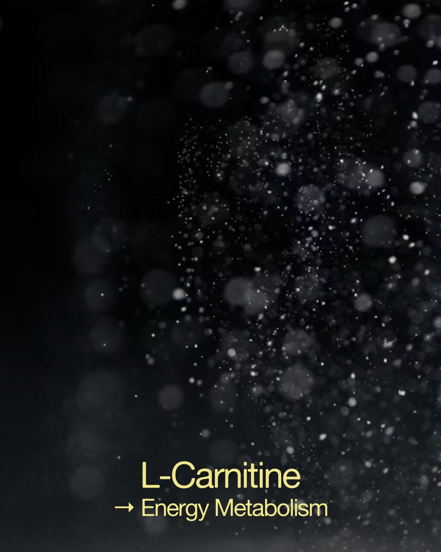 L-Carnitine