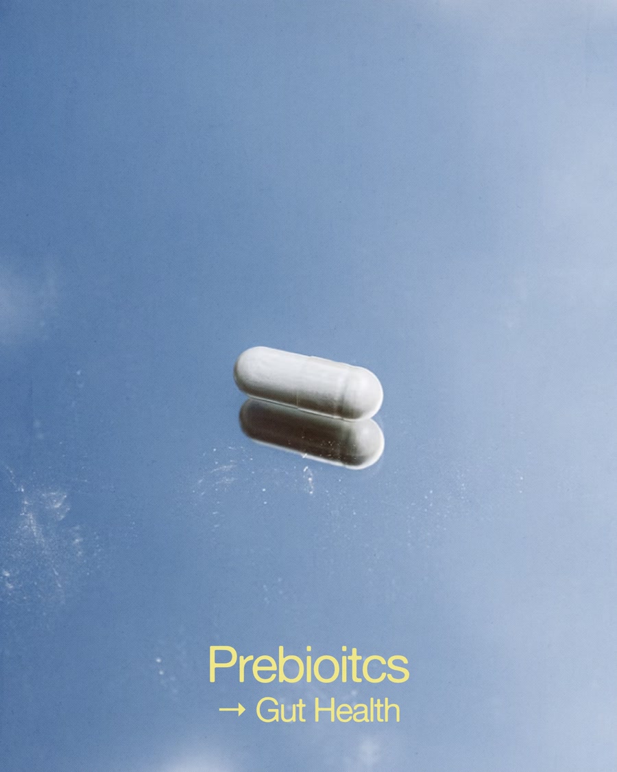 Prebiotics